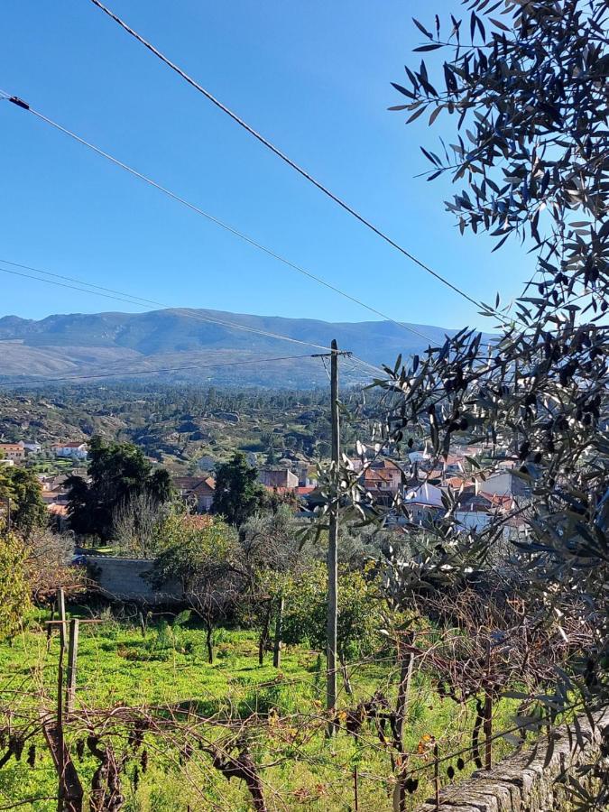 Casa Das Cortes - Serra Da Estrela Apartamento Gouveia  Exterior foto